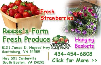 Reese's Farm Fresh Produce - Scottsburg, VA