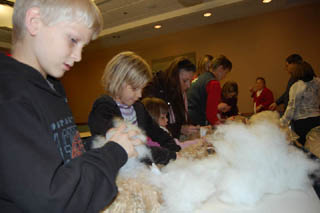 Build Your Own Bears