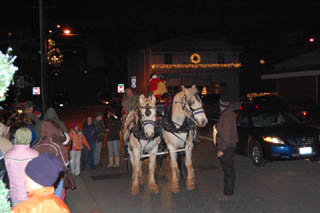 Horse drawn carriage rides