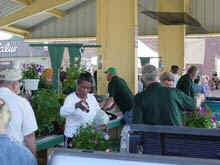 Crowd and vendors