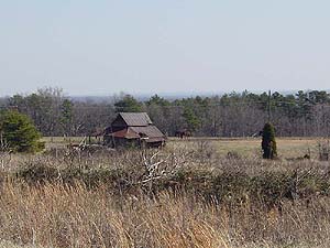 High Point - Looking South
