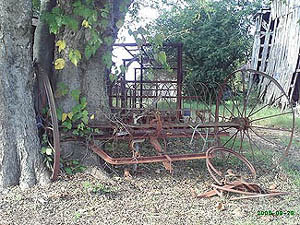 A tree grown around an old Mule-Drawn rake