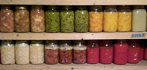 Shelves of full canning jars