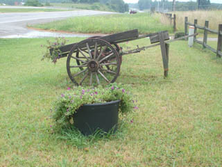 Old wagon in front of store